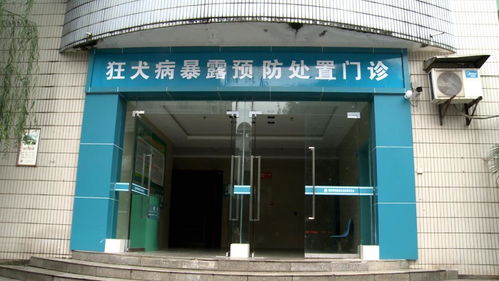 狂犬病 為何發病后致死率高達99.9%，每年5.5萬人死亡的警示